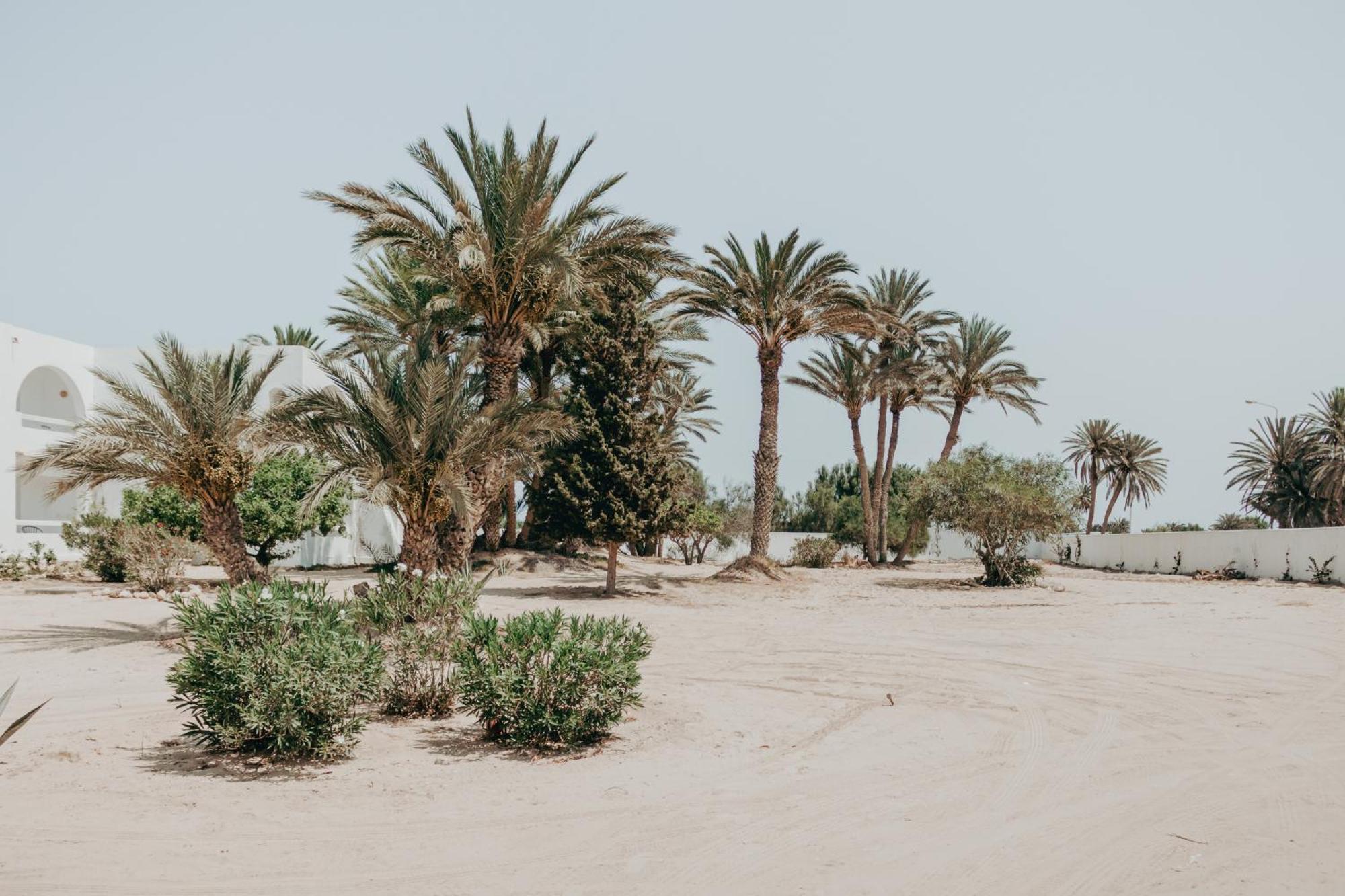 Taguermess Hotel Bougainvillier Djerba מראה חיצוני תמונה